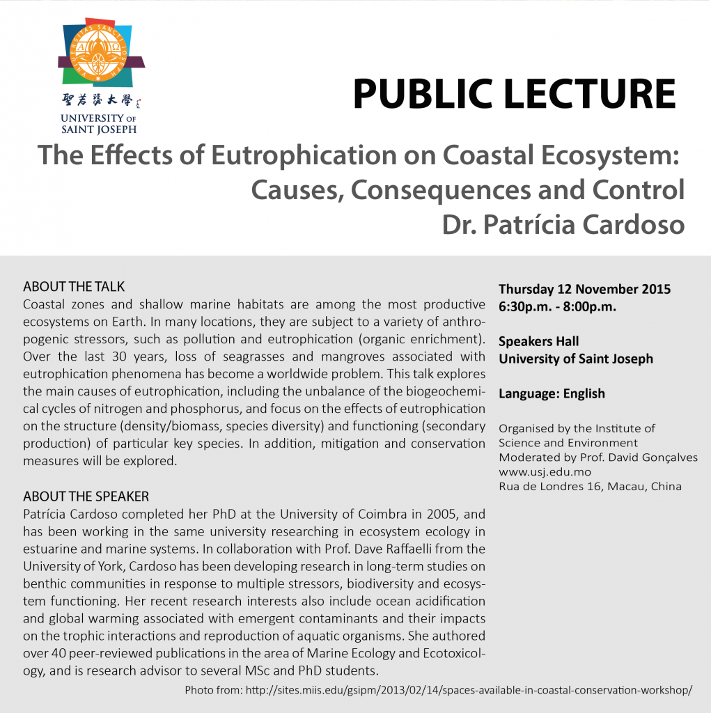 web_20151112 The Effects of Eutrophication on Coastal Ecosystems copy