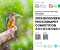 Macao's Wetland Treasures: 2024 Biodiversity Photography Competition