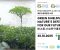 攝影及藝術創作大賽 | 綠之盾：大自然守護我們的未來