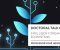 Doctoral Forum in Information Systems | "Intelligent Organizational Ecosystems"